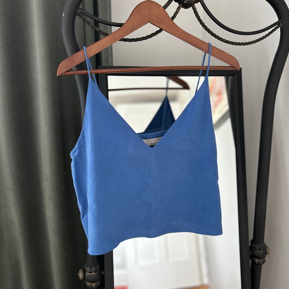 Everlane Washable Silk Blue Crop Top